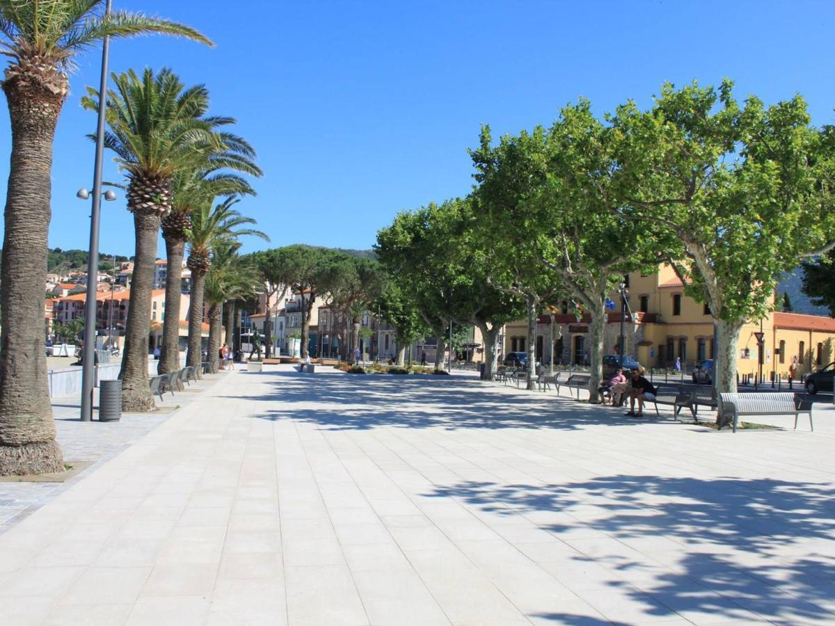 Appartement Banyuls-sur-Mer, 3 pièces, 6 personnes - FR-1-225C-274 Esterno foto